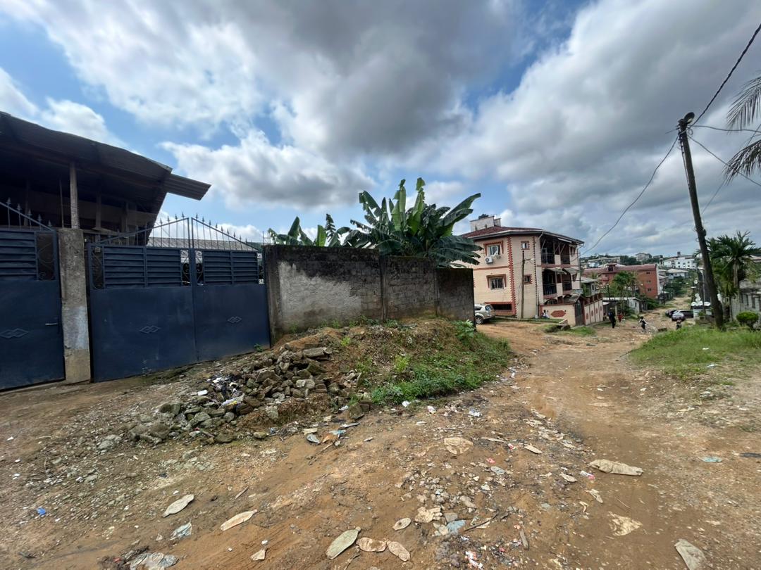  TERRAIN À VENDRE – LOGBESSOU CRTV bar