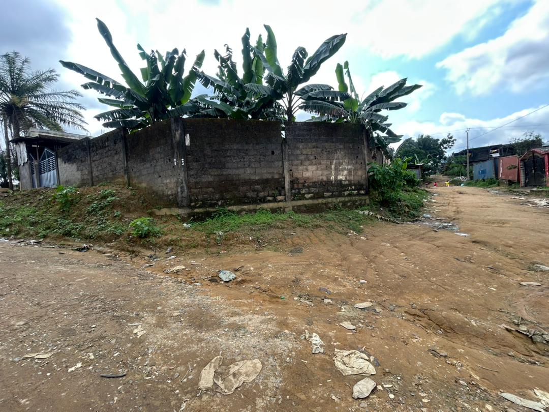  TERRAIN À VENDRE – LOGBESSOU CRTV bar