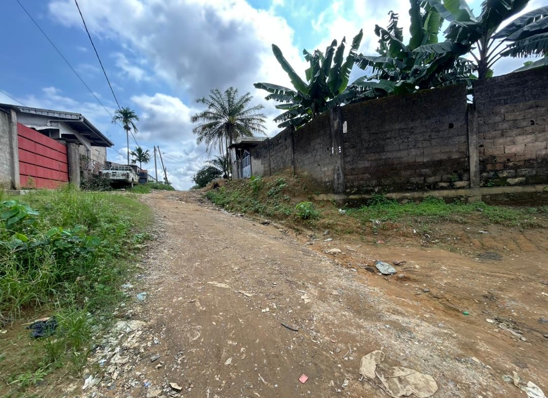  TERRAIN À VENDRE – LOGBESSOU CRTV bar