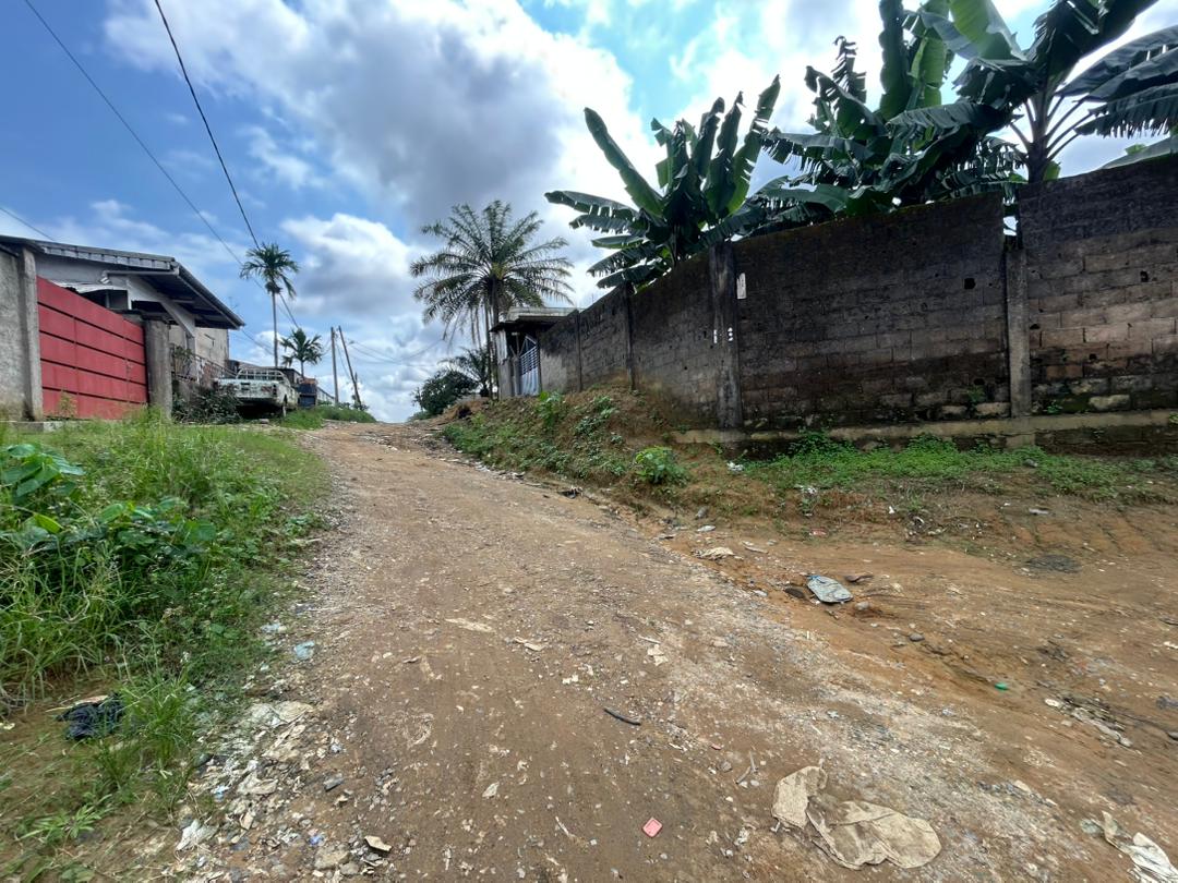  TERRAIN À VENDRE – LOGBESSOU CRTV bar