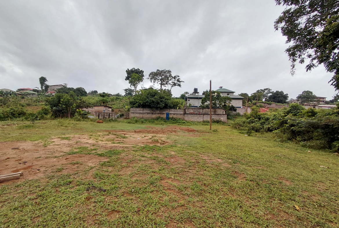 TERRAIN TITRÉ À VENDRE – TSINGA VILLAGE
