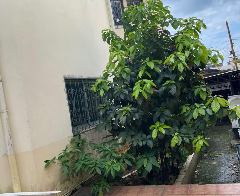 DUPLEX HAUT STANDING À LOUER – LOGPOM